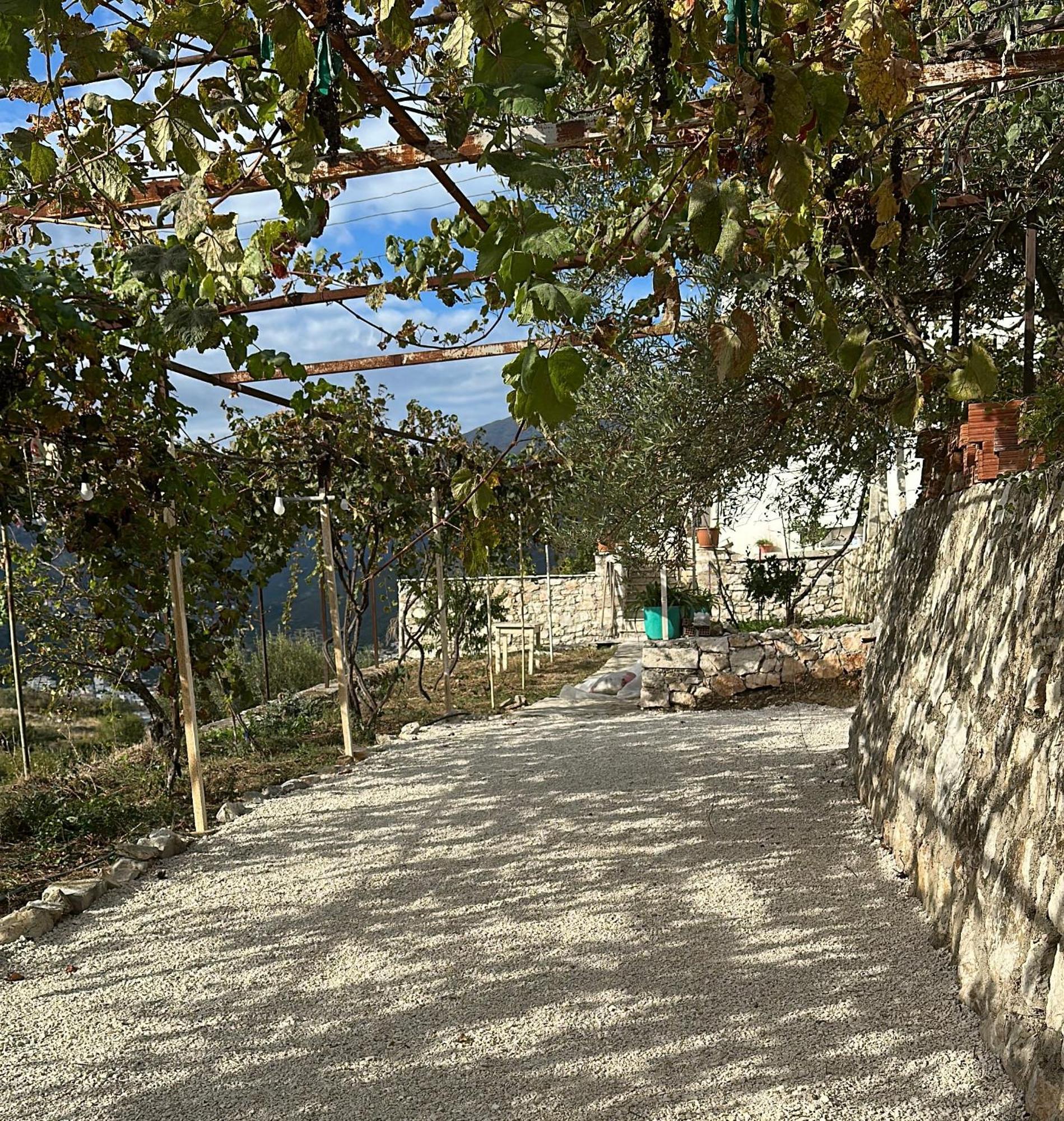 Hostel On The Hill - By Filikuri Beach Himarë Eksteriør billede